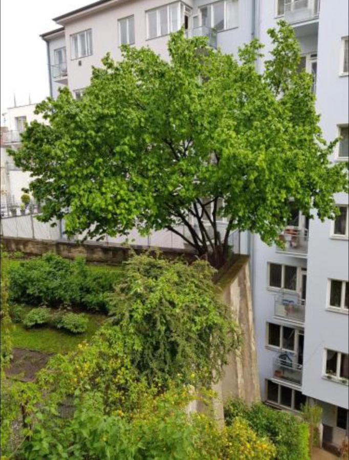 Old Town Apartment Pellicova 브르노 외부 사진