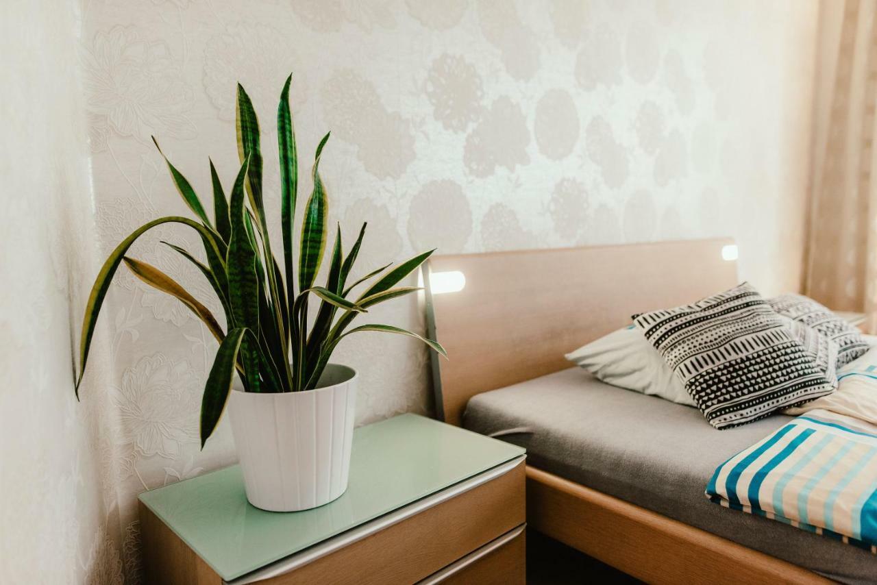 Old Town Apartment Pellicova 브르노 외부 사진